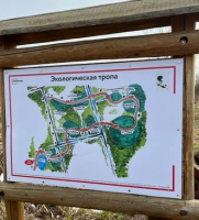 Планирование экологической тропы