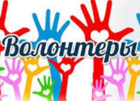 Правовые волонтеры